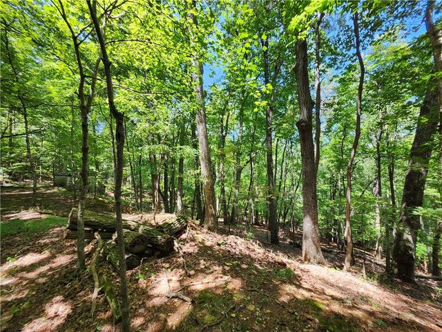 0 Deer Run Drive, Dahlonega, GA 30533