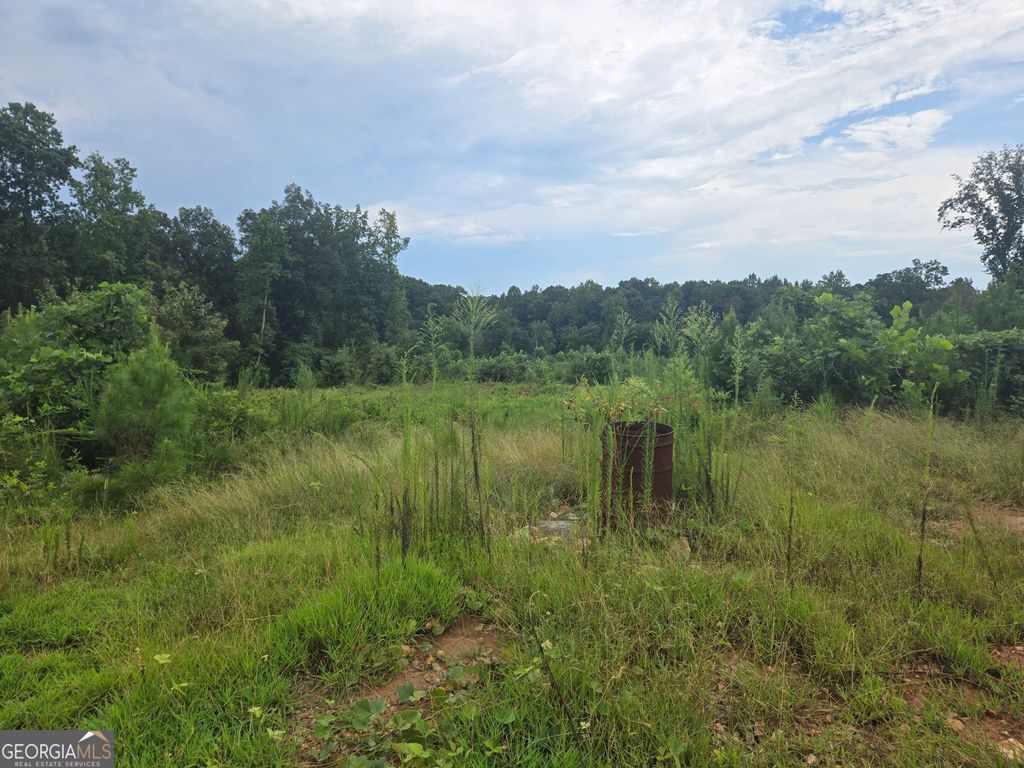 1075 Sailors Road, Hull, GA 30646 — photo 3