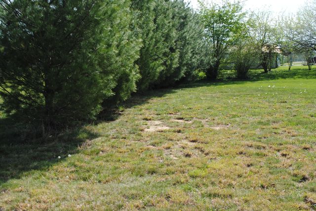 10846 Kentucky 1247, Waynesburg, KY 40489