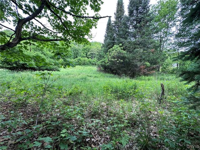 197 River Road, Fowler, NY 13642