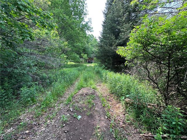 197 River Road, Fowler, NY 13642