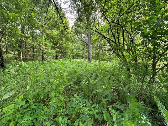 197 River Road, Fowler, NY 13642