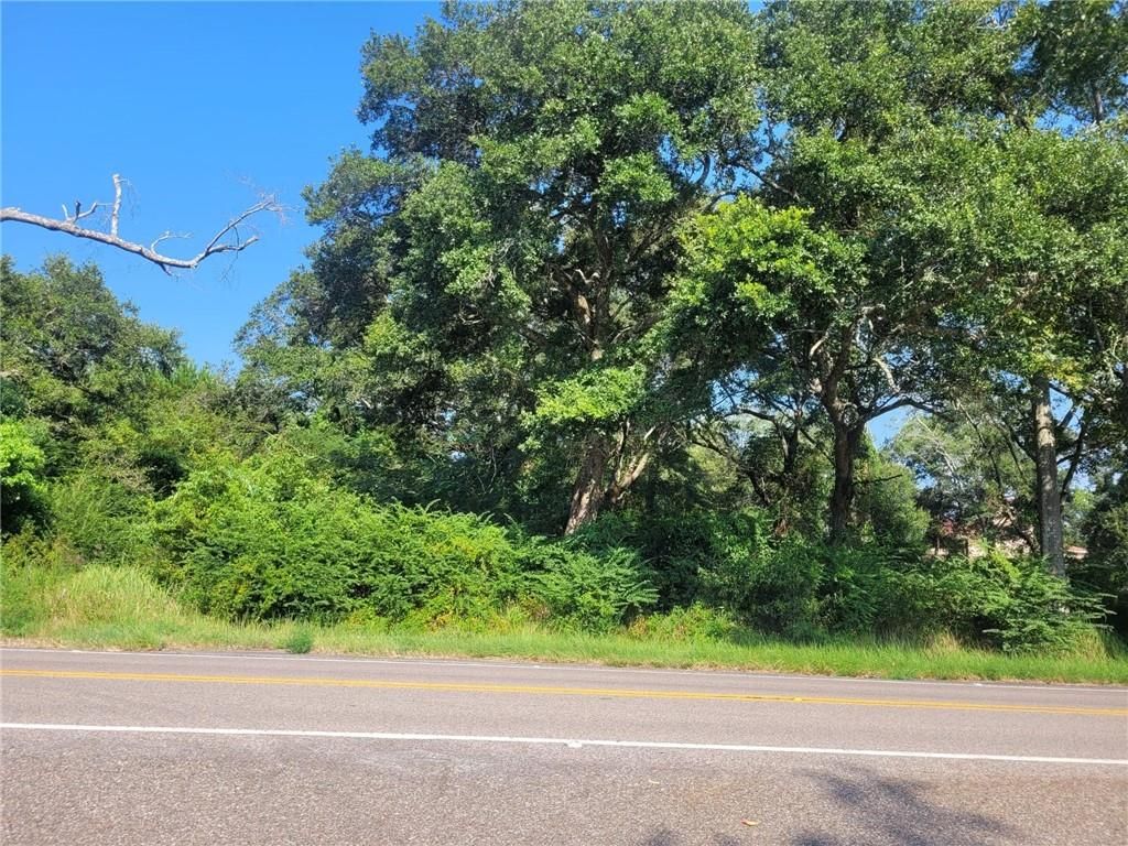 0 Newman Road, Mobile, AL 36695 — photo 4