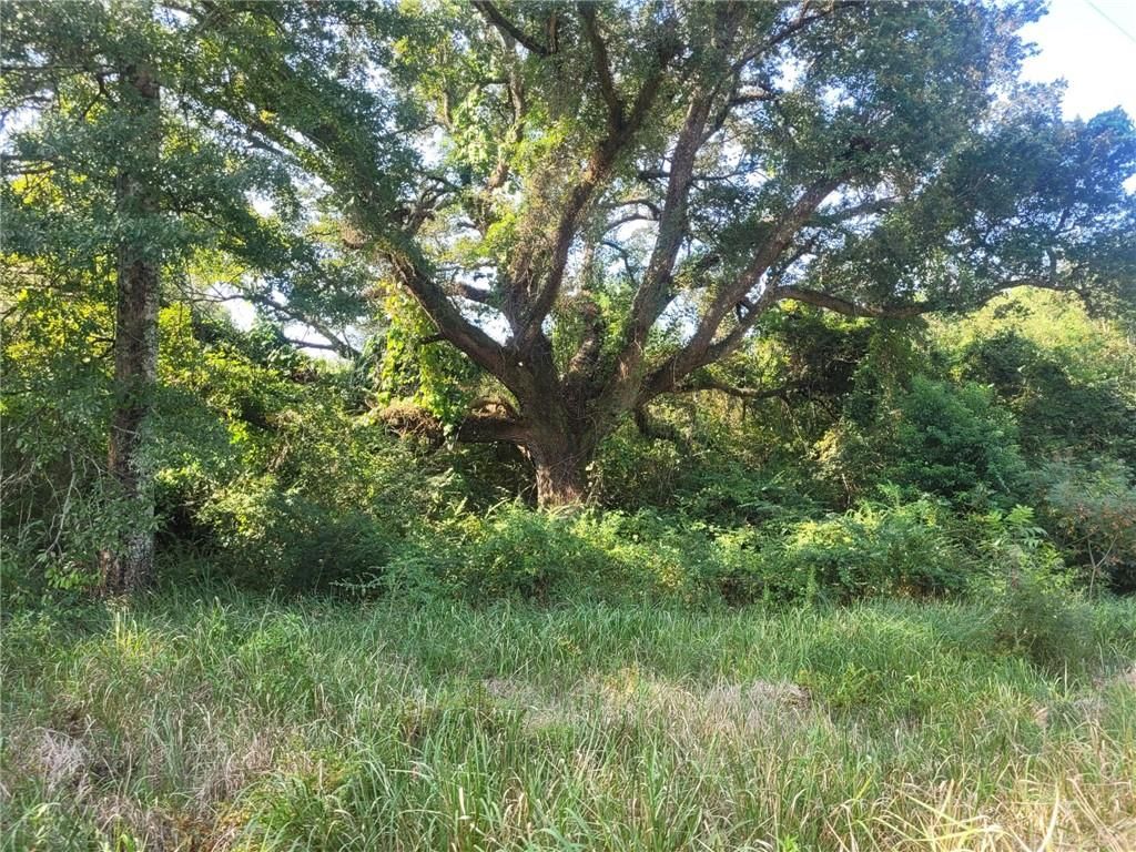0 Newman Road, Mobile, AL 36695 — photo 5