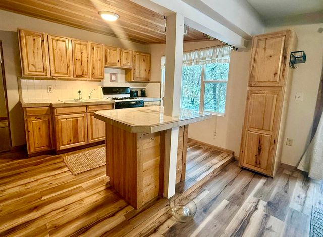 3833 E Creek Wood Drive, Chase, MI 49623