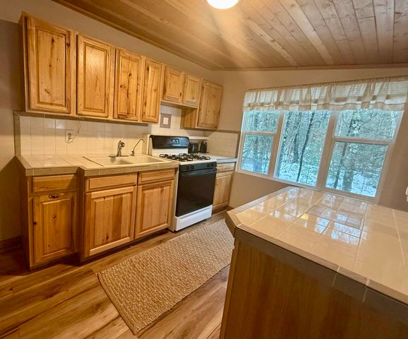 3833 E Creek Wood Drive, Chase, MI 49623
