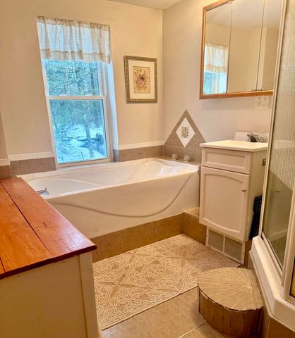 3833 E Creek Wood Drive, Chase, MI 49623