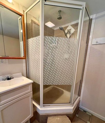 3833 E Creek Wood Drive, Chase, MI 49623