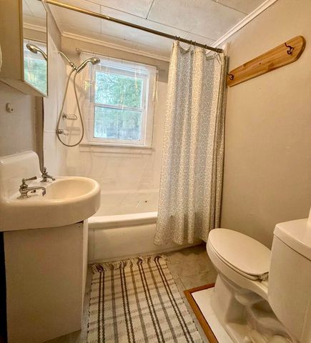 3833 E Creek Wood Drive, Chase, MI 49623