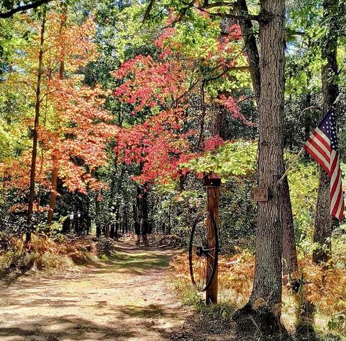 3833 E Creek Wood Drive, Chase, MI 49623