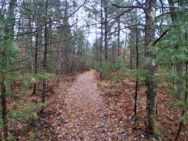 3833 E Creek Wood Drive, Chase, MI 49623