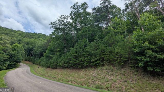 232 Stone Cliff Drive, Ellijay, GA 30536