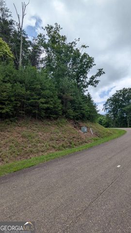 232 Stone Cliff Drive, Ellijay, GA 30536