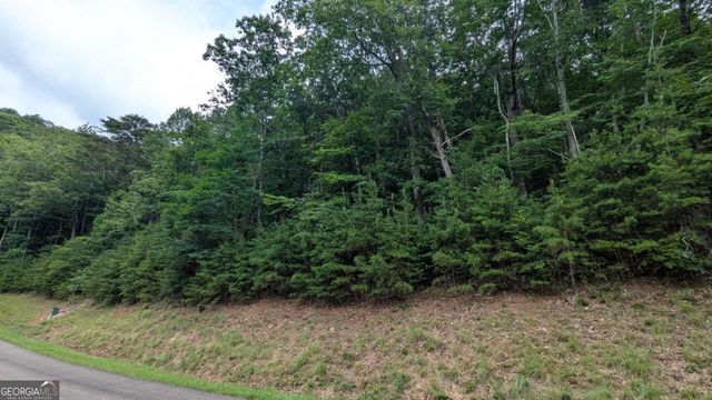 232 Stone Cliff Drive, Ellijay, GA 30536