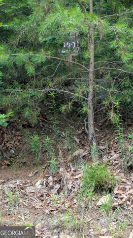 232 Stone Cliff Drive, Ellijay, GA 30536