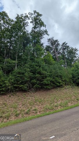 232 Stone Cliff Drive, Ellijay, GA 30536
