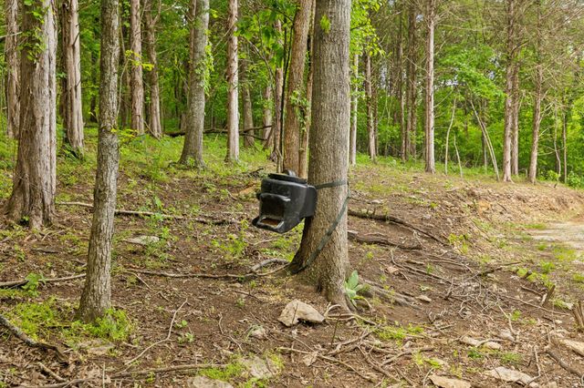 1840 Lick Creek Rd, Hartsville, TN 37074