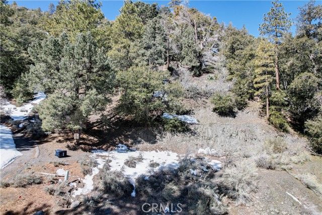 1772 Ash, Wrightwood, CA 92397