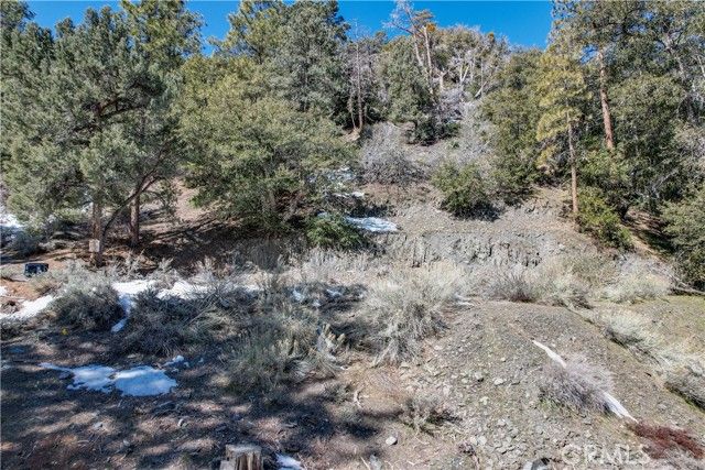 1772 Ash, Wrightwood, CA 92397