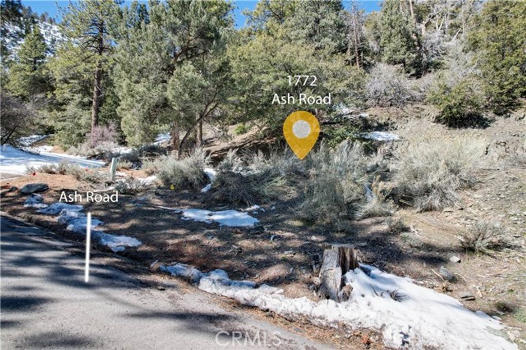 1772 Ash, Wrightwood, CA 92397