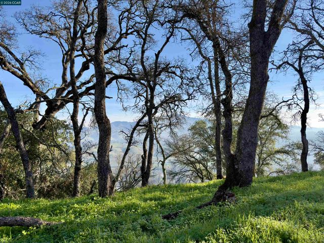 0 Castle Crest Rd, Alamo, CA 94507