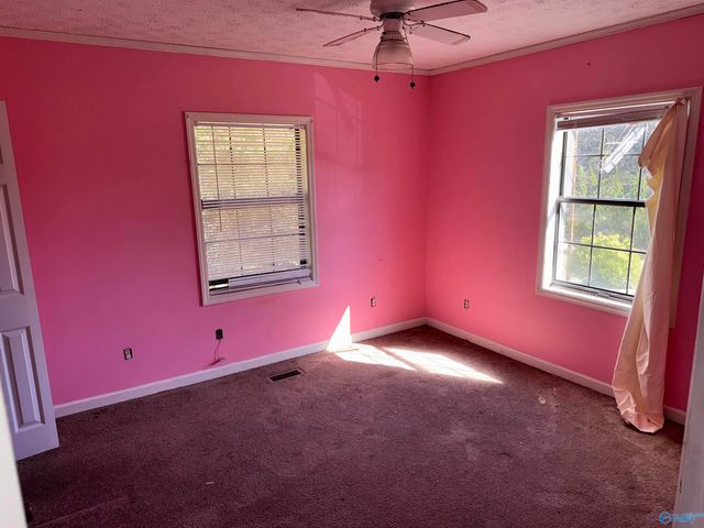 250 Nealhill Rd, Centre, AL 35960