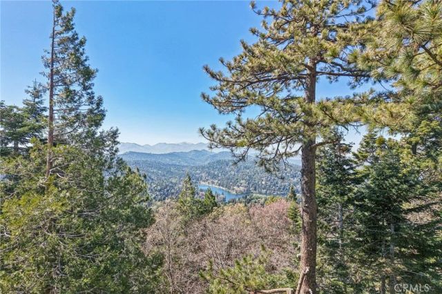 25274 North Road, Twin Peaks, CA 92391