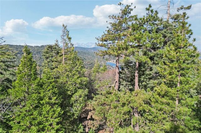 25274 North Road, Twin Peaks, CA 92391