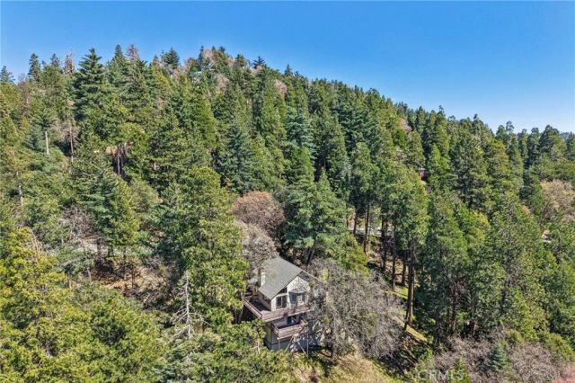 25274 North Road, Twin Peaks, CA 92391