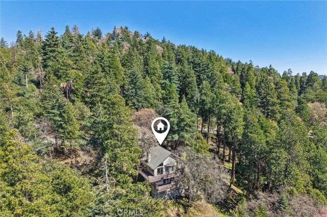 25274 North Road, Twin Peaks, CA 92391