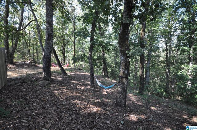 3902 S SHADES CREST ROAD, Hoover, AL 35244