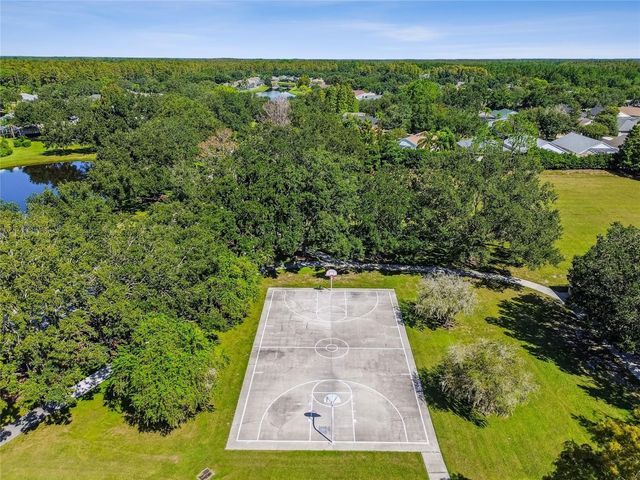 19204 GARDEN QUILT CIRCLE, Lutz, FL 33558