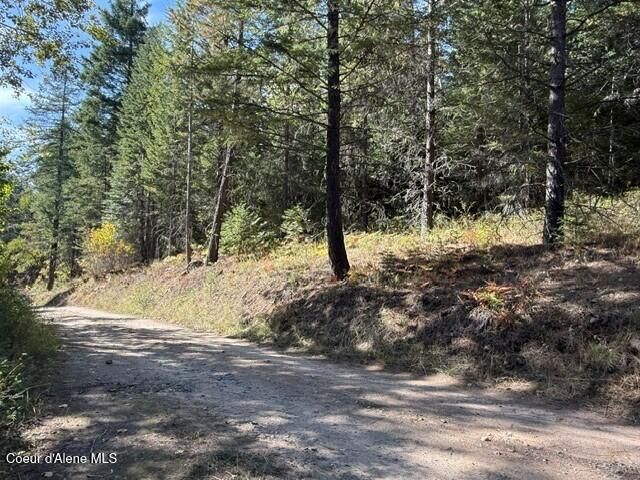 Gold Cup Mountain Rd, Priest River, ID 83856 property photo