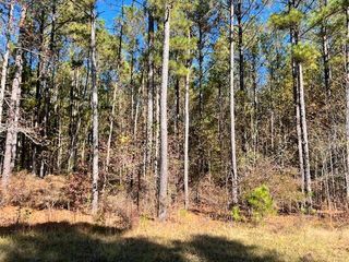 0 Mariners Way, Lot #39, Lincolnton, GA 30817