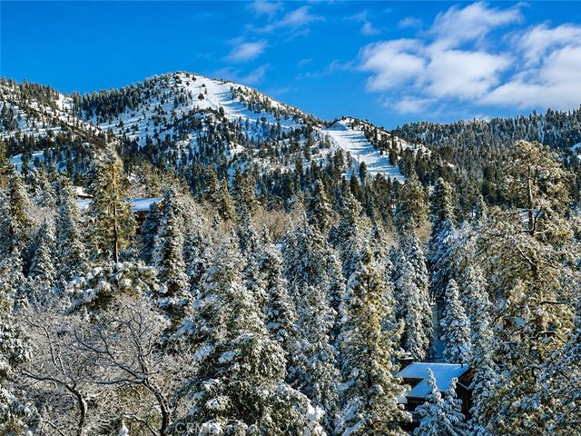 43564 Yosemite, Big Bear Lake, CA 92315