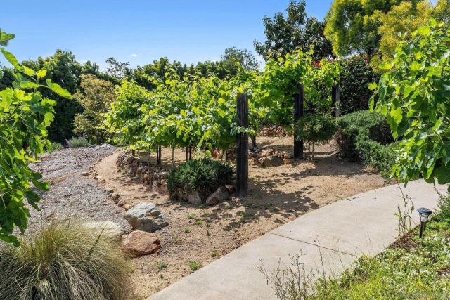 6565 Calle Reina, Rancho Santa Fe, CA 92067