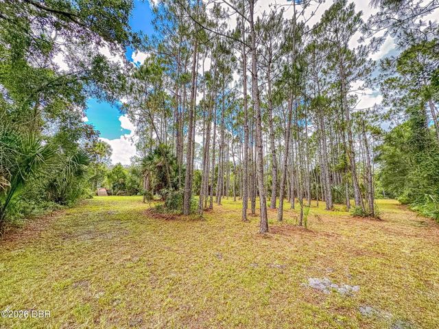 1205 Williams Road, New Smyrna Beach, FL 32168