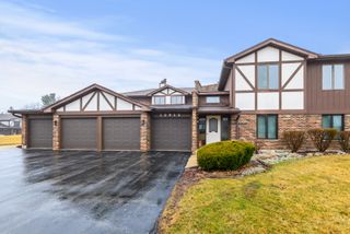 12912 Mill Drive E E2, Palos Park, IL 60464