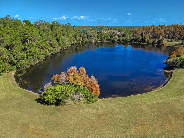 10101 MIZNER STREET, New Port Richey, FL 34655