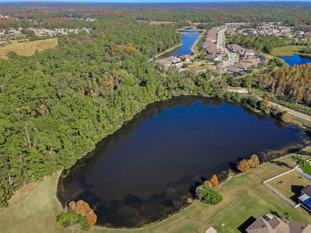 10101 MIZNER STREET, New Port Richey, FL 34655