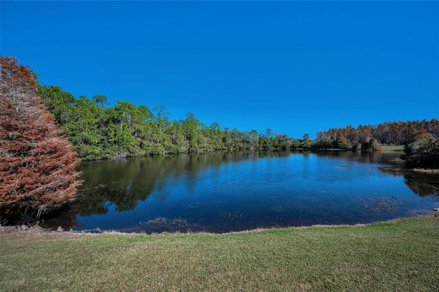 10101 MIZNER STREET, New Port Richey, FL 34655