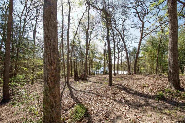 1024 Summit Ridge, Murchison, TX 75778