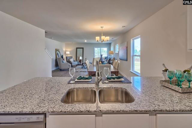 242 Secretariat Street, Lexington, SC 29073