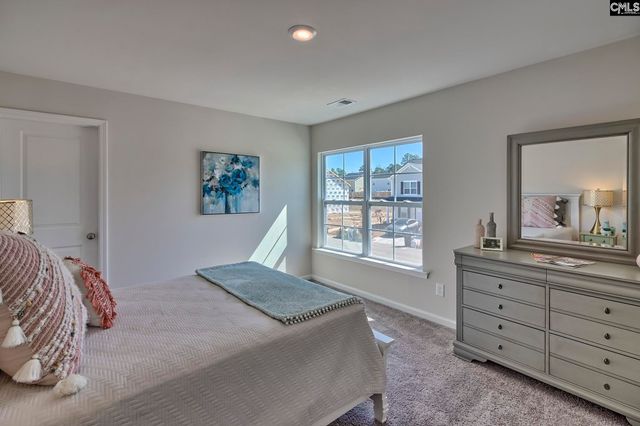 242 Secretariat Street, Lexington, SC 29073