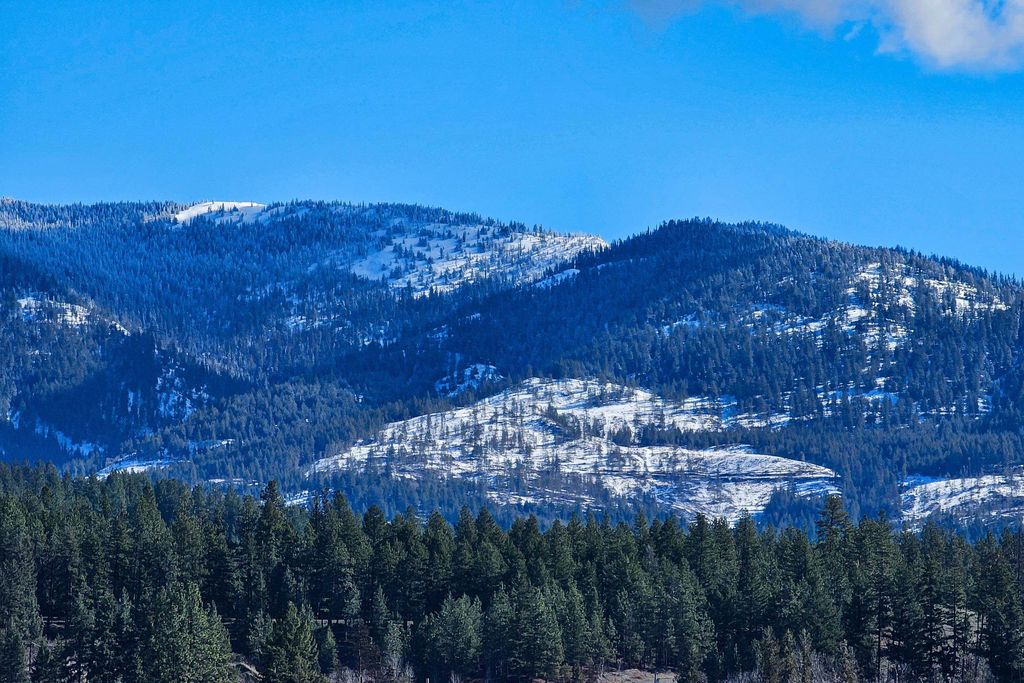 2037 Ringneck Loop, Colville, WA 99114 photo 11