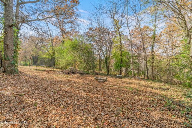 121 County Road 578, Englewood, TN 37329