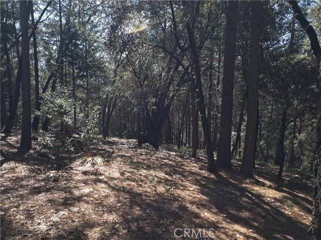 14279 Carnegie, Magalia, CA 95954