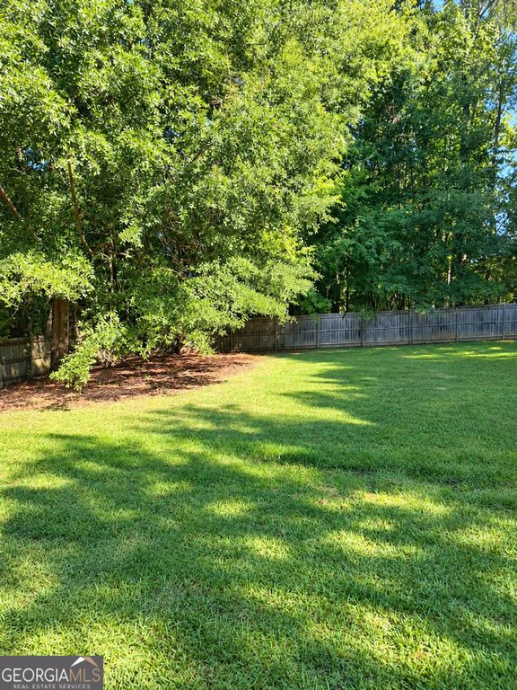804 Pownal Lane, Hampton, GA 30228 — photo 4