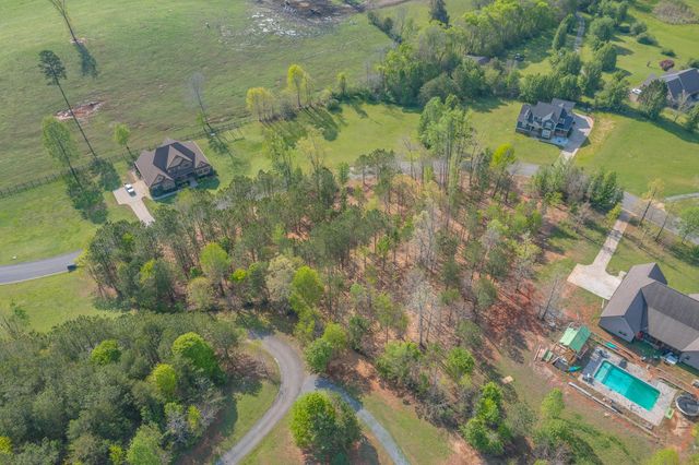 19 Turkey, Flintstone, GA 30725