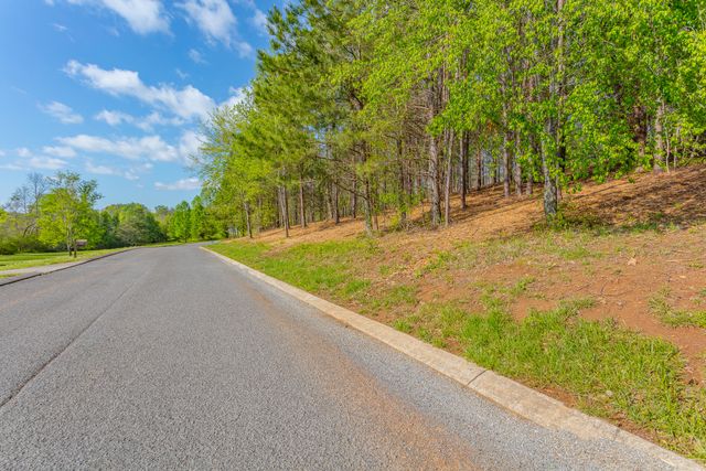 19 Turkey, Flintstone, GA 30725